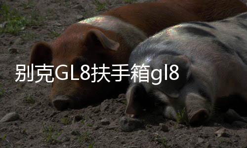 别克GL8扶手箱gl8ES 653T陆尊25s中央储物手扶箱专用内饰改装配件 