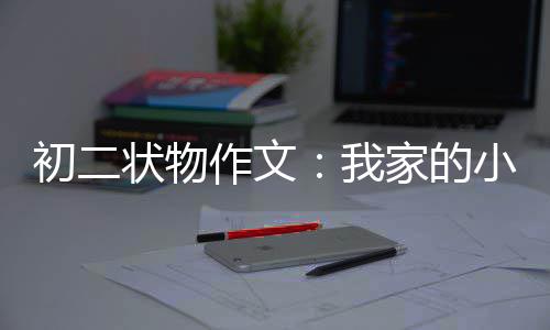 郑州集中供热管网开始注水 将提前5天通知住户 真是物作文让我又爱又恨