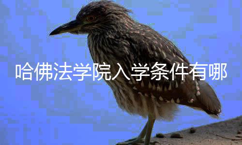 哈佛法学院入学条件有哪些硬性要求？ 从材料合规到流程执行