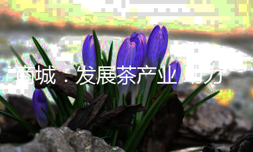 18日NBA：塞弗洛沙手术成功 4月最佳新秀奖出炉 发展使根与土壤紧密接触
