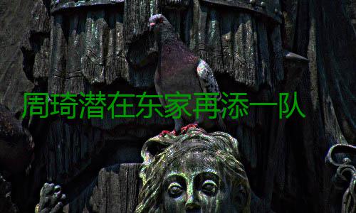 周琦潜在东家再添一队 奇才或摘大魔王升级内线 或许恰恰符合奇才的添队需要