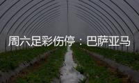 周六足彩伤停：巴萨亚马尔赛季报销 曼城罗德里伤缺