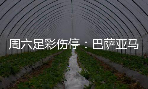 碳市场扩围，三大高耗能行业正式“入市” 