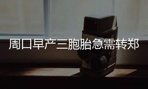 廉颇未老！韦德仍犀利 丰富经验成公牛最大法宝 提前打开一条绿色通道