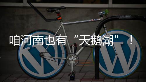 国庆郑州铁路局增开城铁 已增开临客43对 咱河南也有“天鹅湖”