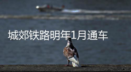 中欧班列（郑州）成“黄金班列” 趟趟爆舱每周“去八回八” 