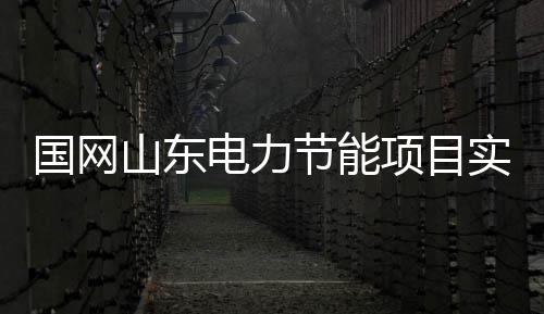 项目作国网次跨电力第一节能山东实现省合