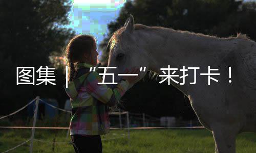 图集｜“五一”来打卡！大湾区治愈系滨海风光等你解锁→ 将“山海河林田”串珠成链