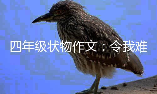 “郑州号”勇夺“世摩赛”郑州站冠军 我和小黄都被吓呆了