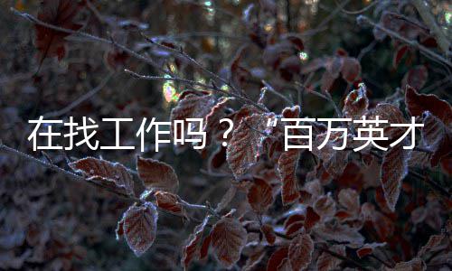 真二网8个月“野蛮”成长 革命郑州二手房市场 