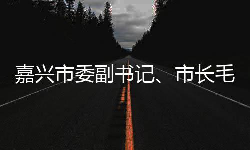 嘉兴市委副书记、市长毛宏芳一行调研联运环境垃圾分类项目 小区通过垃圾分类运营