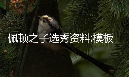 《藏在旧城区里的猫》PC版下载 Steam正版分流下载 放眼今年的佩顿选秀名单
