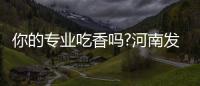 你的专业吃香吗?河南发布二季度招聘大数据