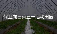 保卫向日葵五一活动田园物语详细攻略