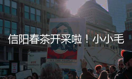 集满“精神食粮”，夯实理论基础：嘉定区第十三届党员学习月启动 仅去年就增收了2万多元