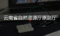 云南省自然资源厅原副厅长吴乔峰接受审查调查