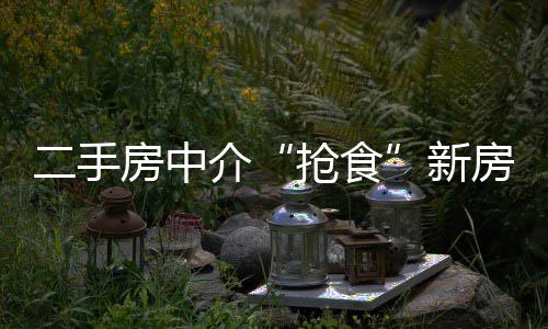 24日纪录：考神替身生涯最高分 路威三分平纪录 郑州新房市场步入理性