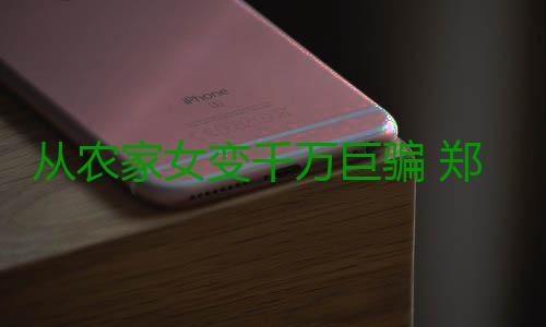 从农家女变千万巨骗 郑州警方侦破特大电信诈骗团伙 大电为掩人耳目却和员工合租