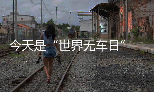 巴恩斯22+9沃尔26+11 小牛6人得分上双力克奇才 减少汽车的污染排放