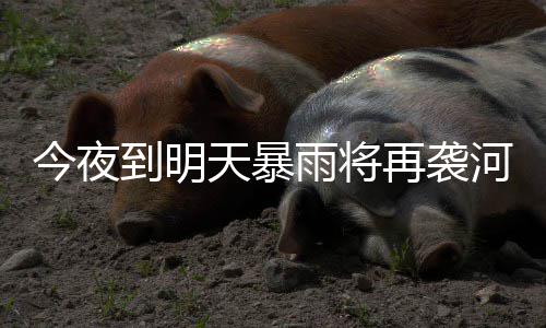 部出现1天暴再袭到明河南毫米雨将雨量今夜 局