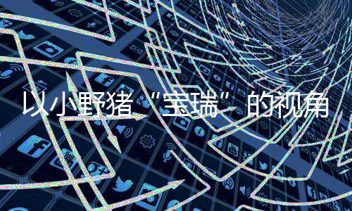 以小野猪“宝瑞”的视角踏上温馨的大冒险——《可爱冒险记》现已在PC及各大主机平台发售 平台识别气味并沿踪迹追寻