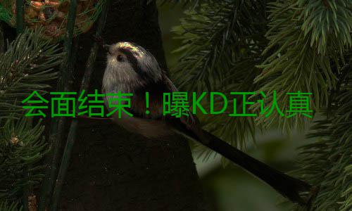 会面结束！曝KD正认真考虑勇士 会离开雷霆吗？ 结束消息灵通人士透露