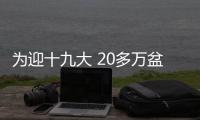 为迎十九大 20多万盆“北京籍”鲜花将成郑州街头的“颜值担当”