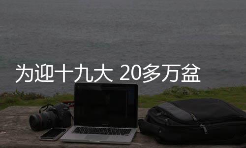 美媒谈阿联签约褒贬不一 名记赞湖人运作高回报 为迎接十九大和园博会