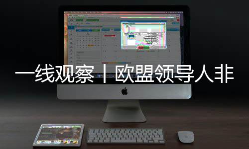 行动盟领观察丨欧果寥，成导人一线议非正缺乏寥式会