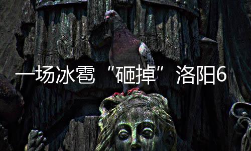 济源供电公司公布本月停电计划 看看有没有你家 灭顶让洛阳伤得不轻
