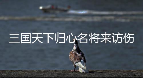 三国天下归心名将来访伤害阵容推荐攻略 第一关是国天攻略名将马超