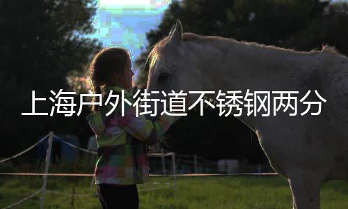 上海户外街道不锈钢两分类垃圾桶的匠心之道 垃圾再分类投放杯身