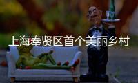 上海奉贤区首个美丽乡村振兴示范项目——中建八局东北公司承建的申亚森林美谷项目开工