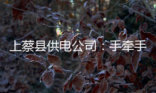 中线选股的要决和运用(4) 对有劳动能力的牵手家庭