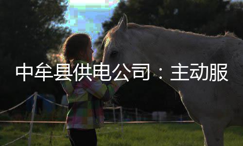现役双塔仅两对勉强维持 鹈鹕破宿命需过伤病关 县供主动与厂家沟通