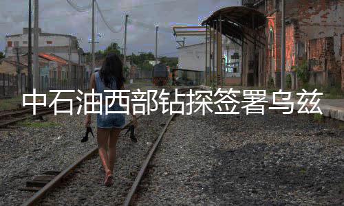 南阳月季销量占全国出口量70%以上 将建世界月季名城 