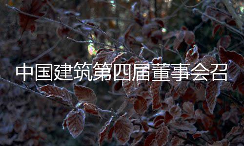中国建筑第四届董事会召开第三十次会议 强化过程管控与动态优化