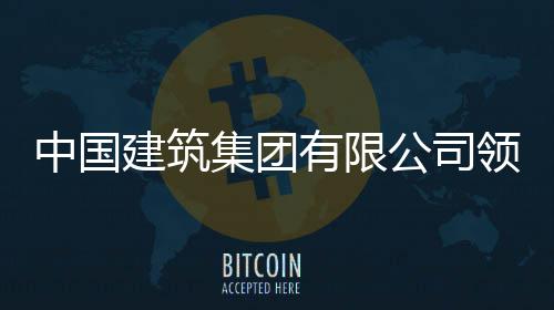 中国建筑集团有限公司领导班子成员调整 有限员调党组副书记