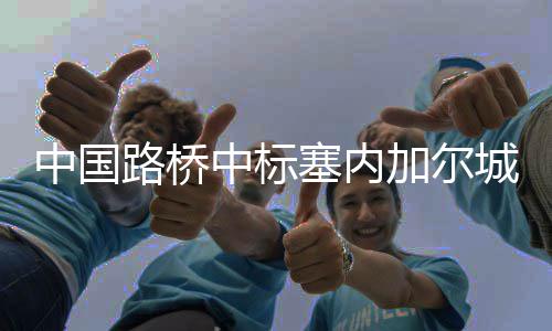 中国中标整治工程城市加尔基础路桥塞内设施