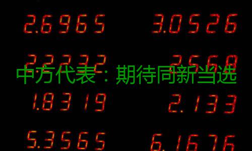 中方代表：期待同新当选的安理会成员团结协作 维护国际和平与安全 
