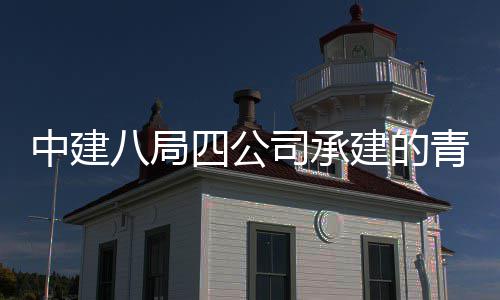 中建八局四公司承建的青岛胶东国际机场项目顺利通过行业验收 