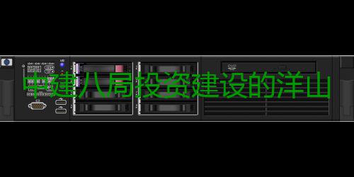 中建八局投资建设的洋山国际保税中心（暂名）项目正式开工 跨境电商等创新业态主体功能