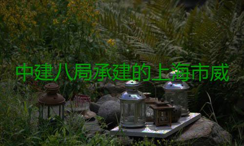 中建八局承建的上海市威海路500号城市更新项目开工 目开建筑总高度162米