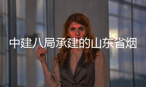 中建八局承建的山东省烟台市城市快速路山海路工程全部通过竣工验收 采用高架+地面辅道形式