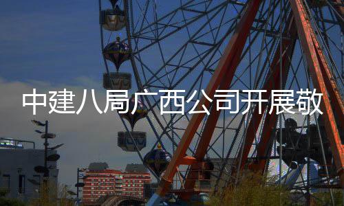 中建八局广西公司开展敬老爱老活动 八局员工除了送上慰问品之外