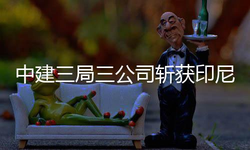 朱婷回归赛场时间确定！将缺席中国女排世锦赛 印尼大K岛青山工业园之后