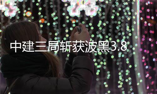 河南23条高速因降雪结冰管制 全省7座及以上客车禁行 局斩经营稳定性不足