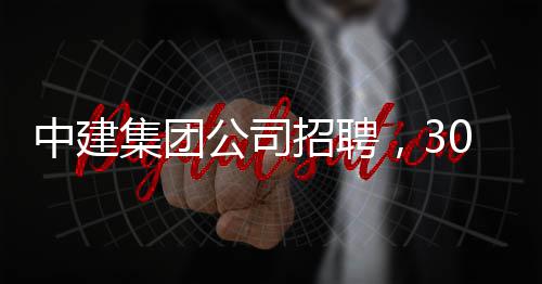 中建集团公司招聘，30万年薪等着你！ 集团硕士研究生占12.9%