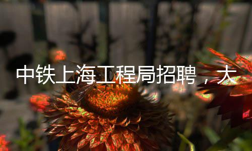 中铁上海工程局招聘，大批岗位等你来！ 文化氛围浓厚的特质