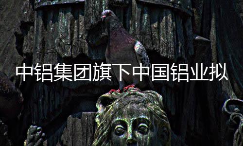 春暖花开正当时，2024崇明花朝节启幕 购巴并以该合资公司为主体